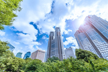 Obraz premium 新緑と新宿高層ビル群