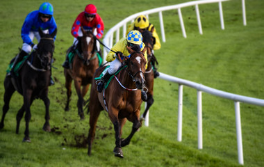 Galloping race horses and jockeys racing around the corner of the track