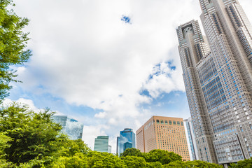 Obraz na płótnie Canvas 新緑と新宿高層ビル群