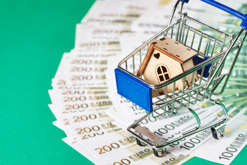 Shopping cart with toy house on euro background