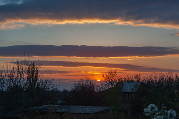 Obraz premium Sunset sky against a background of silhouettes of trees