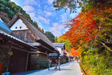 Fototapeta premium Sceneria jesiennych liści sezonu Kyoto Saga Toriimoto