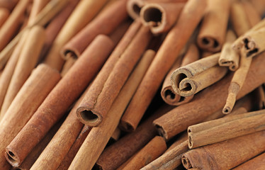 Aromatic cinnamon sticks, closeup