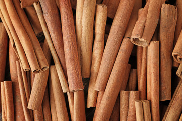 Aromatic cinnamon sticks, closeup