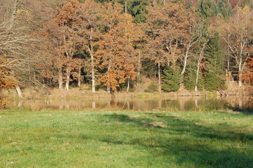 Herbstimpressionen