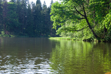 Calm river flowing gently through woodland landscape
