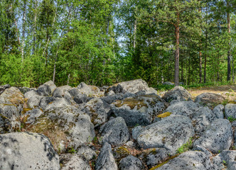Windy day on lake Vuoksa in the Leningrad region.  Priozersky district.
