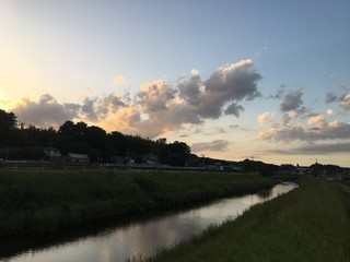 川沿いをお散歩してたら夕日とのコラボが気持ち良かった