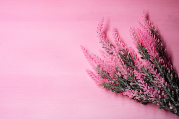 The group of dried flower on pink pastel timber board