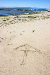 野間の海岸　相合傘