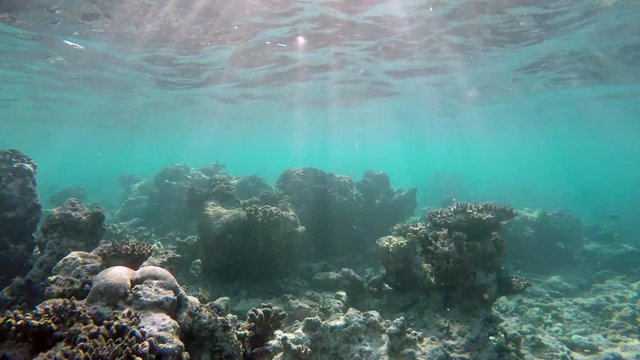 Sonnenstrahlen scheinen in ein schönes Korallenriff auf den Malediven