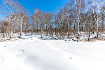 Obraz premium landscape of snow mountain