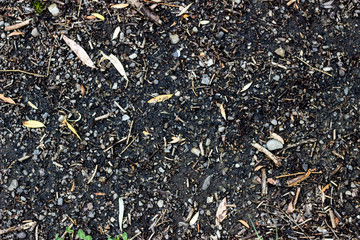 soil and stones texture 
