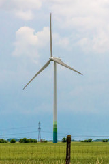 Fototapeta na wymiar Wind Turbines in a Rape Field