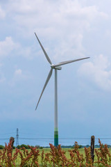 Wind Turbines in a Rape Field