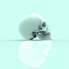 Human Skull Pastel 3D Render