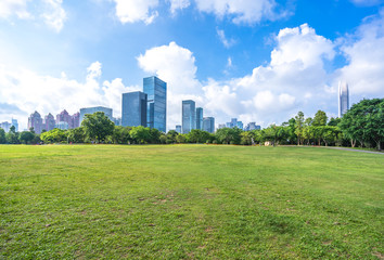 city skyline with green lawn