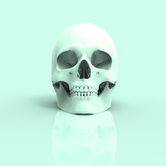 Human Skull Pastel 3D Render