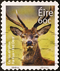 Red deer head on irish postage stamp