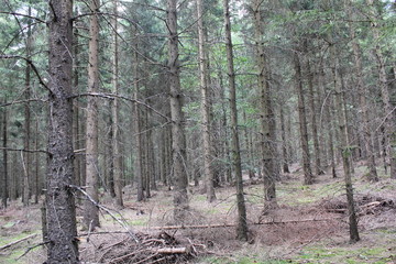 Weiherwiesen bei Tauchenweiler/Aalen-Essingen