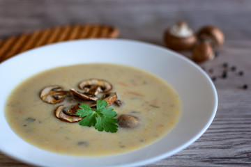 Delicious soup of aromatic wild mushrooms. Creamy Mushroom Soup