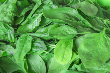 background of fresh spinach