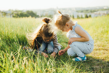 Little girls are looking at insects in the green grass on the field.