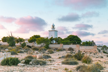 Fototapeta na wymiar Lighthouse in the coastal town of Santa Pola, Valencia, Costa Blanca in Spain. Beautiful, pink sky, in the foreground plants and stones.