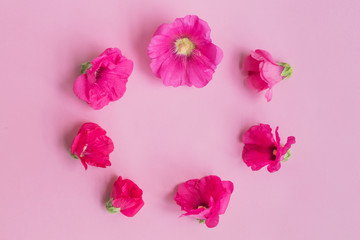 Fototapeta na wymiar Flat lay floral round frame with pink flowers