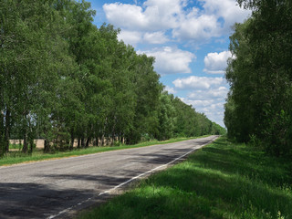 Fototapeta na wymiar Old road in the countryside