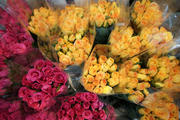 Pink and yellow roses