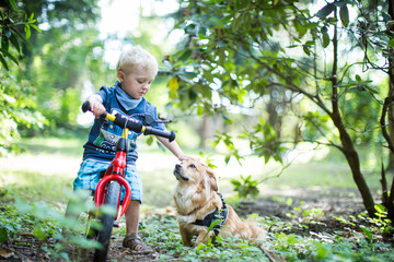 Genuss mit dem Hund in der Natur