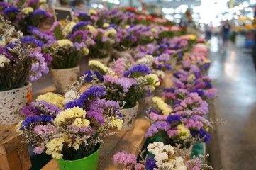 Flowers in the flower market