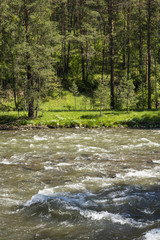 Mountain landscape with a water stream in Altai, Siberia, Russia