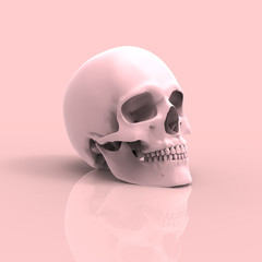 Human Skull Pastel 3D Render