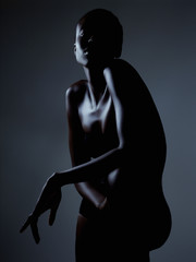 Model Beauty Stylish Makeup Portrait