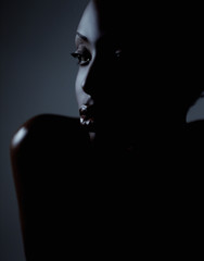 Model Beauty Stylish Makeup Portrait