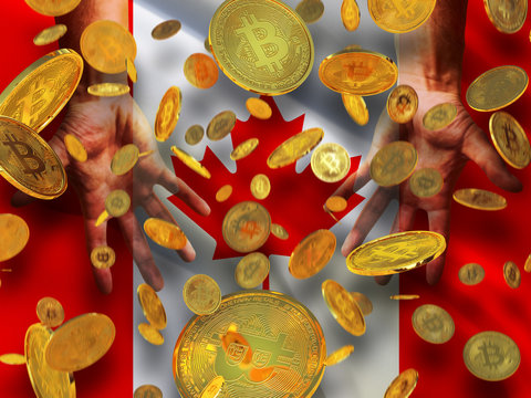 Bitcoin crypto currency Canada flag A lot of falling  gold bitcoins Rain of golden coins fall to the palms of the hands on Canada waving flag  background