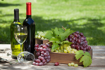 Fototapeta na wymiar Wine and grape