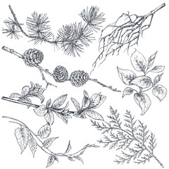 Set of hand drawn ink sketch spring branches