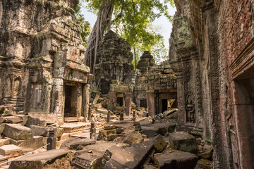 Naklejka premium Giant tree and roots in temple Ta Prom Angkor wat