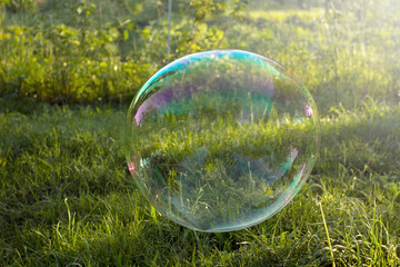 Big soap bubble flying in the air
