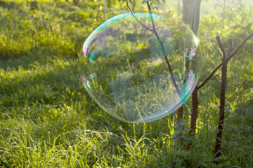 Big soap bubble flying in the air