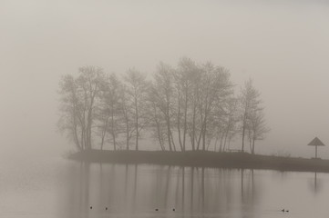 Fototapeta premium fog