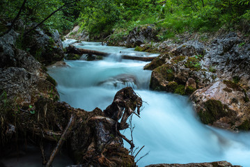 Bachlauf mit Felsen und Bäumen in Österreich