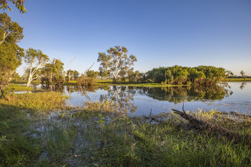 Peaceful landscape at sunrise in White water Billabong, Kakadu National Park, Northern Territory, Australia © Uwe