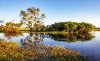 Fototapeta na wymiar Peaceful landscape at sunrise in White water Billabong, Kakadu National Park, Northern Territory, Australia