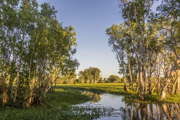 Peaceful landscape at sunrise in White water Billabong, Kakadu National Park, Northern Territory,...
