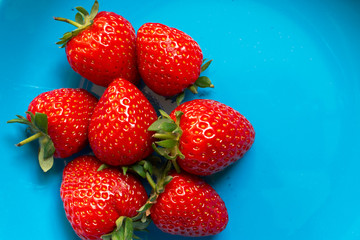 Strawberries on a blue platte