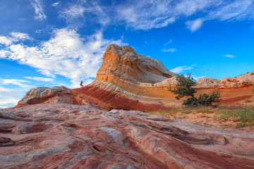 Colorful ripples in a sandstone over bright blue sky. White Pocket, a group of domes and ridges, is a part of Vermilion Cliffs National Monument, Arizona, USA.